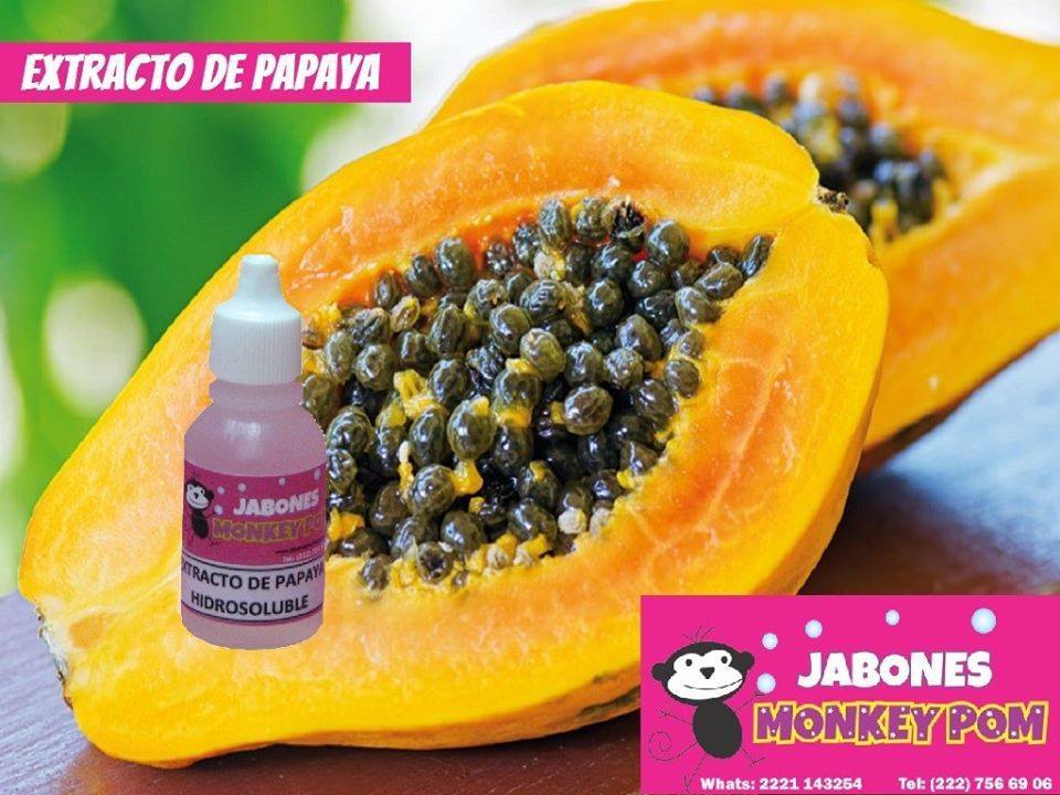 Extracto de Papaya